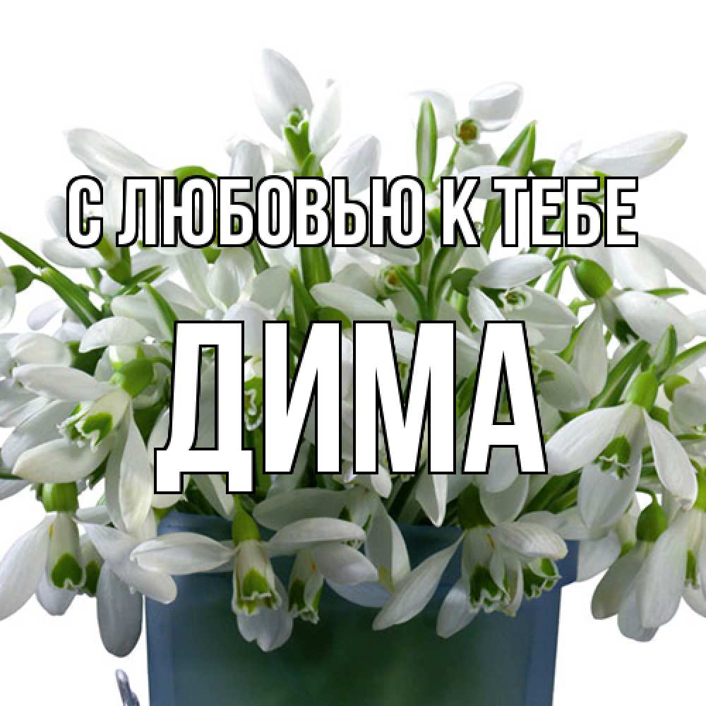 Открытка  с именем. Дима, С любовью к тебе  