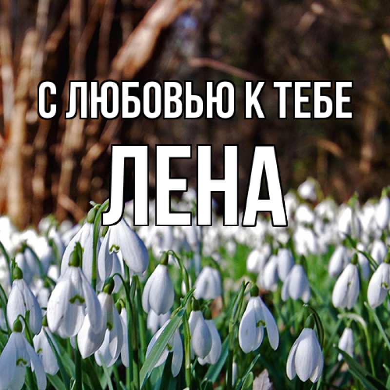 Картинка С любовью к тебе, лена