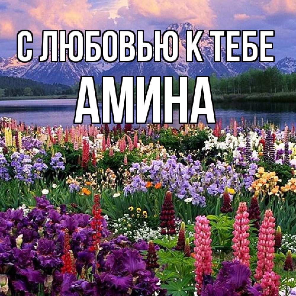 Открытка  с именем. Амина, С любовью к тебе  