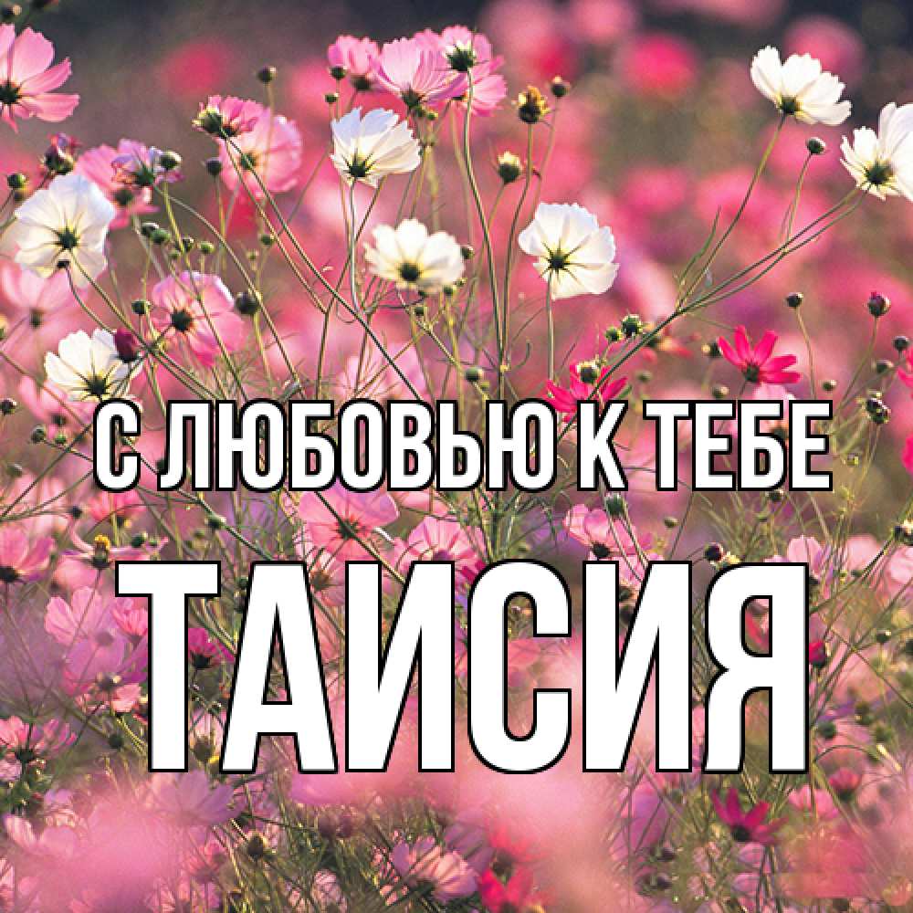Открытка  с именем. Таисия, С любовью к тебе  