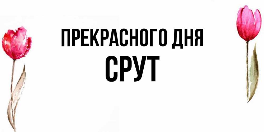 Открытка  с именем. срут, Прекрасного дня  