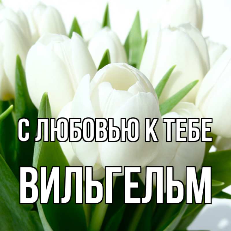 Картинка С любовью к тебе, Вильгельм