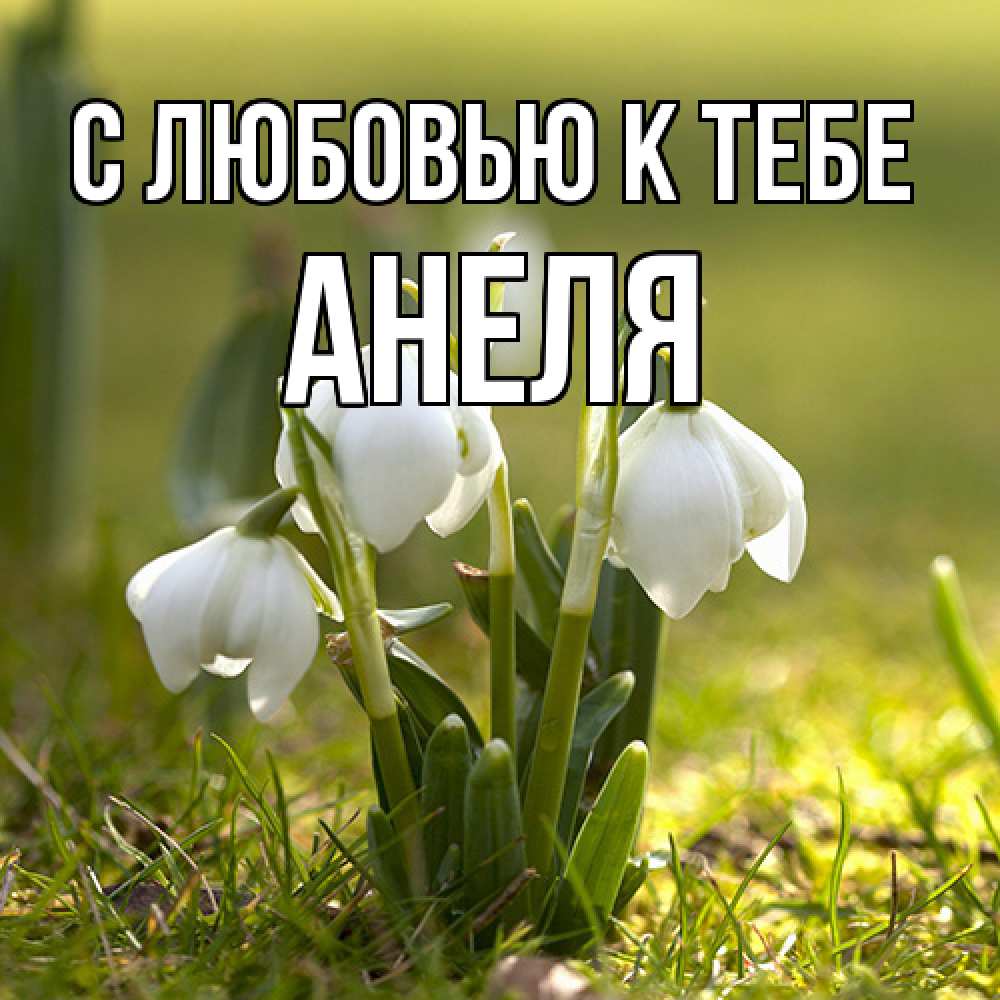 Открытка  с именем. Анеля, С любовью к тебе  