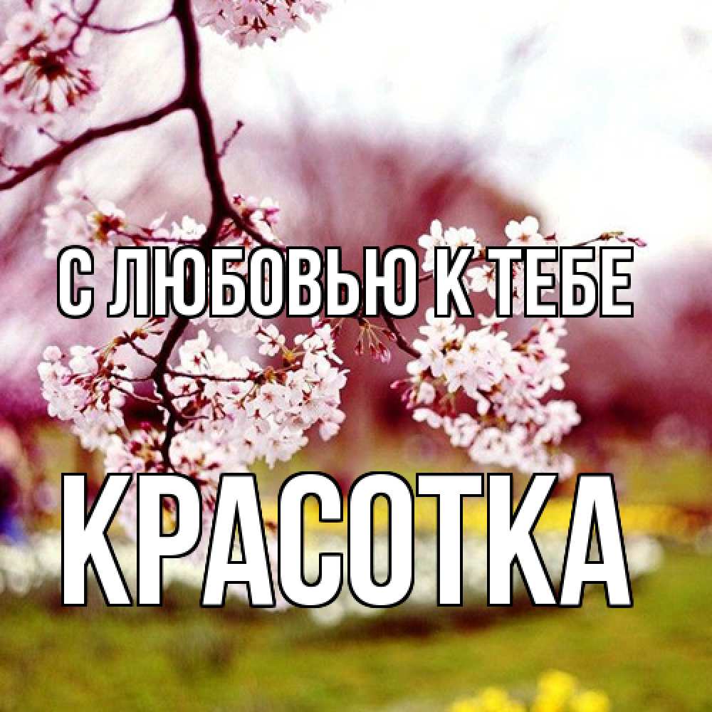 Открытка  с именем. Красотка, С любовью к тебе  