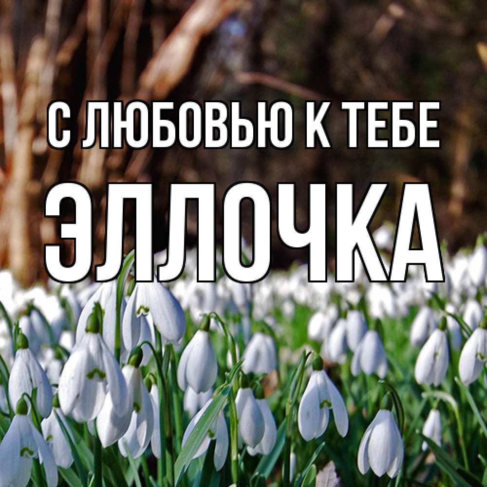 Открытка  с именем. Эллочка, С любовью к тебе  