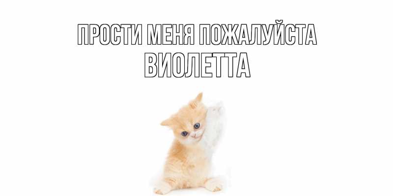 Картинка Прости меня пожалуйста, Виолетта