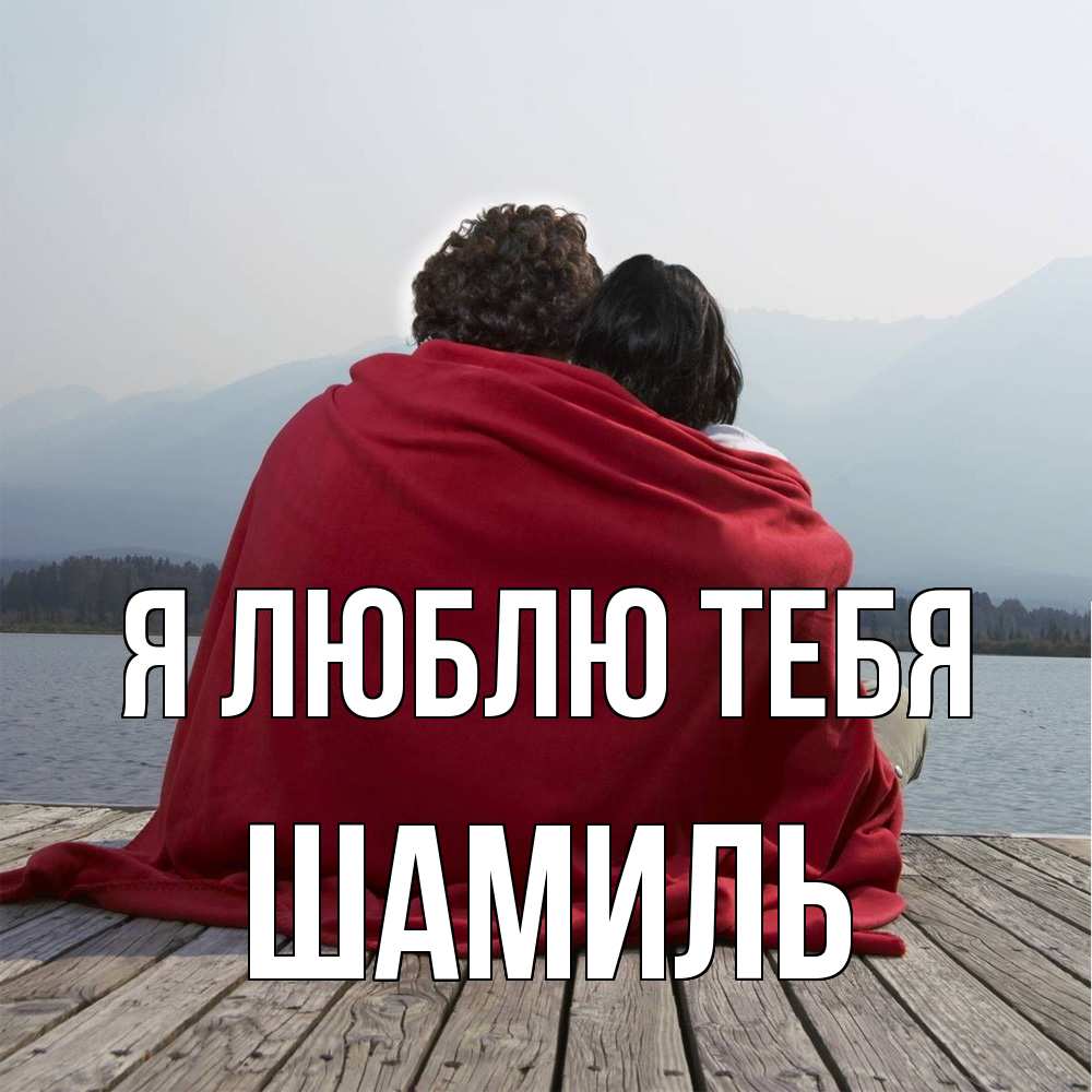 Открытка  с именем. Шамиль, Я люблю тебя  