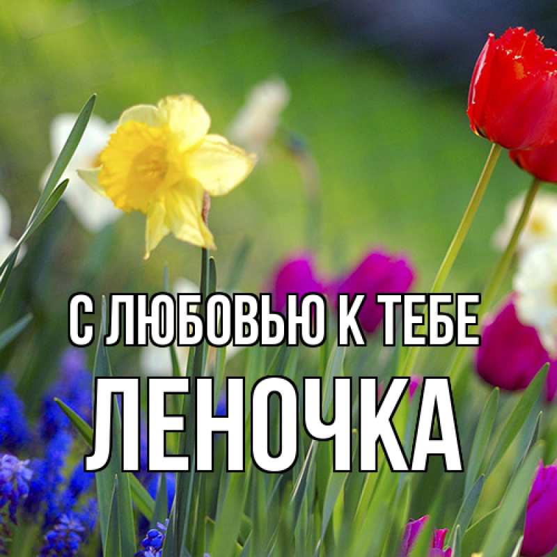 Картинка С любовью к тебе, ЛЕНОЧКА