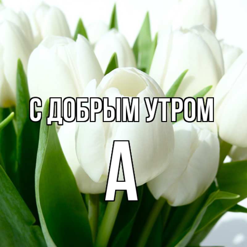 Картинка С добрым утром, а