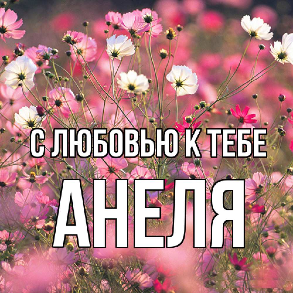 Открытка  с именем. Анеля, С любовью к тебе  