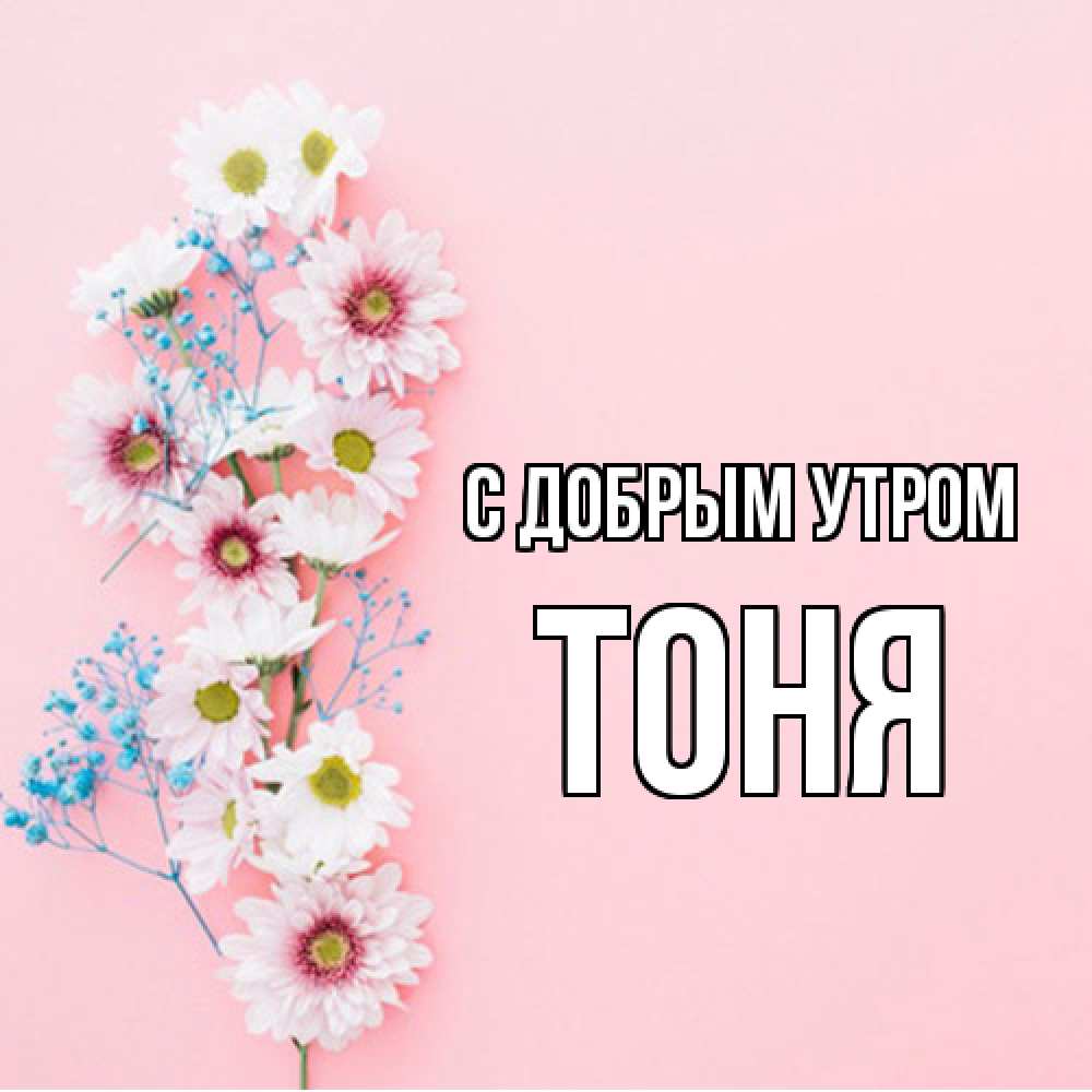 Открытка  с именем. Тоня, С добрым утром  