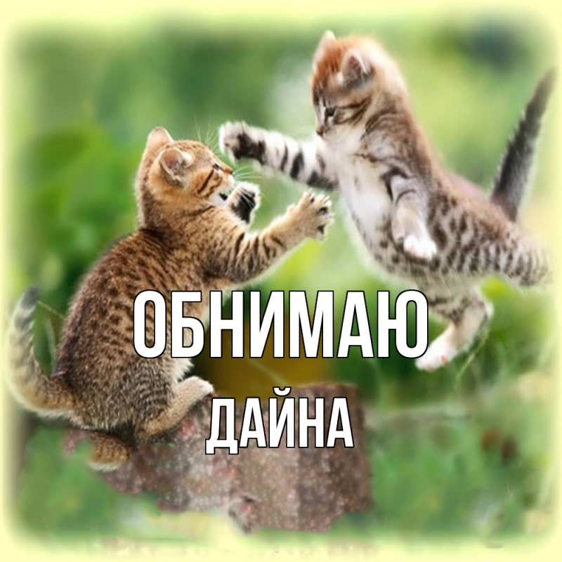 Картинка Обнимаю, Дайна