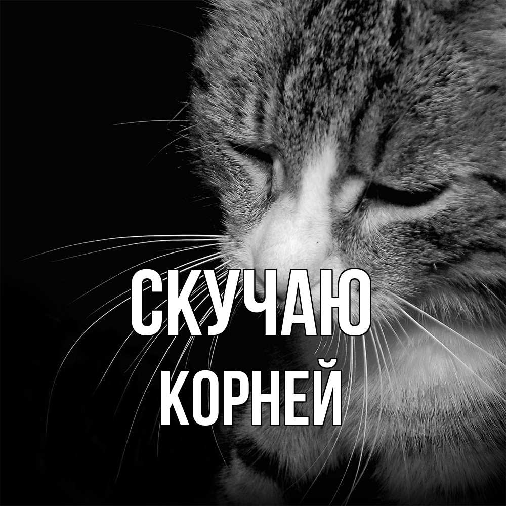 Открытка  с именем. Корней, Скучаю  