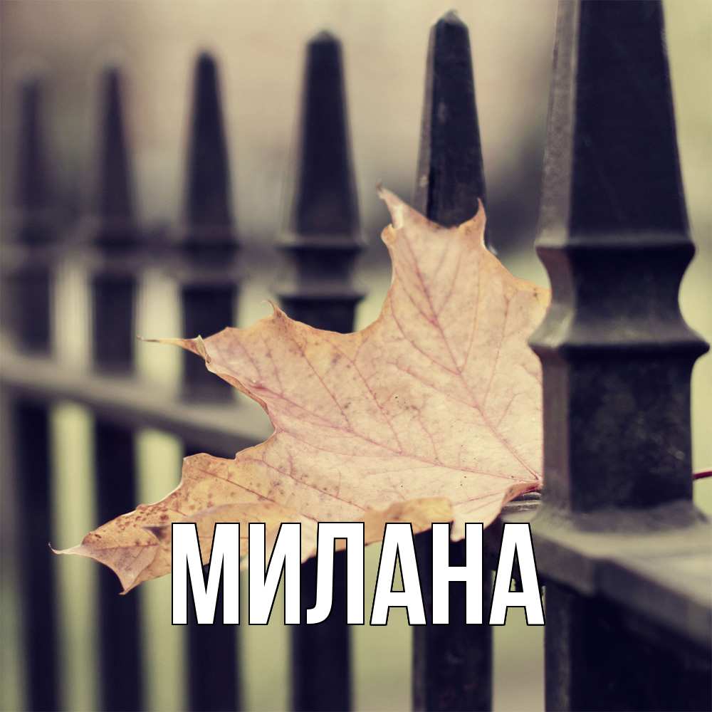 Открытка  с именем. Милана, Главная  