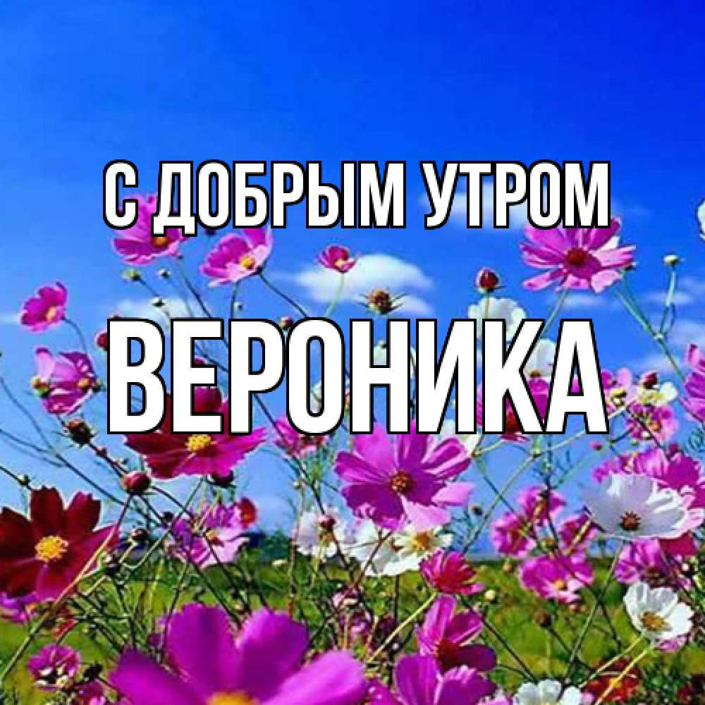 Открытка  с именем. Вероника, С добрым утром  
