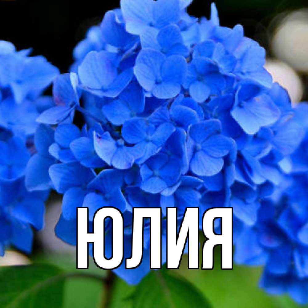 Открытка  с именем. Юлия, Главная  