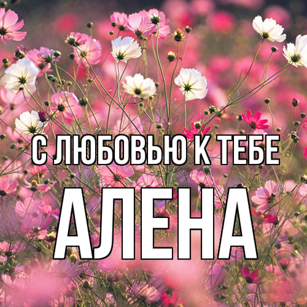 Открытка  с именем. Алена, С любовью к тебе  