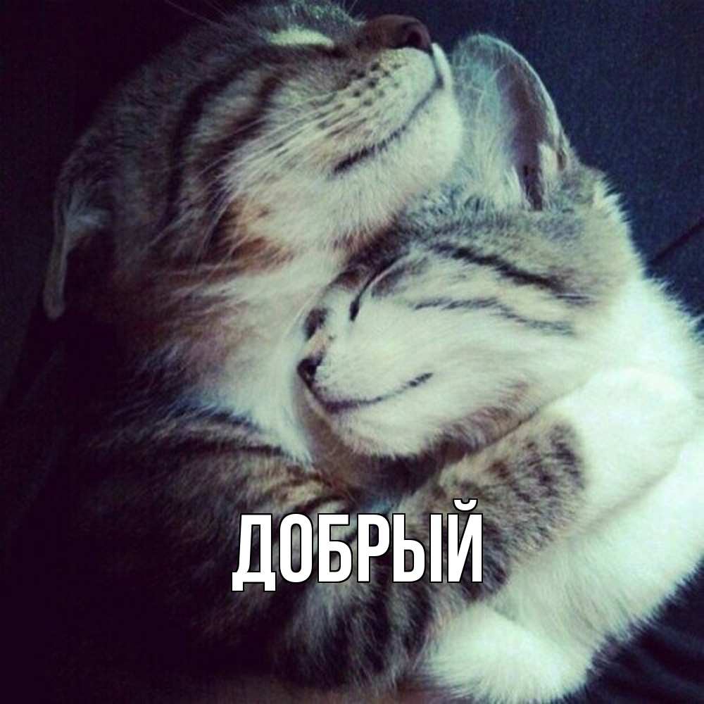 Открытка  с именем. Добрый, Главная  