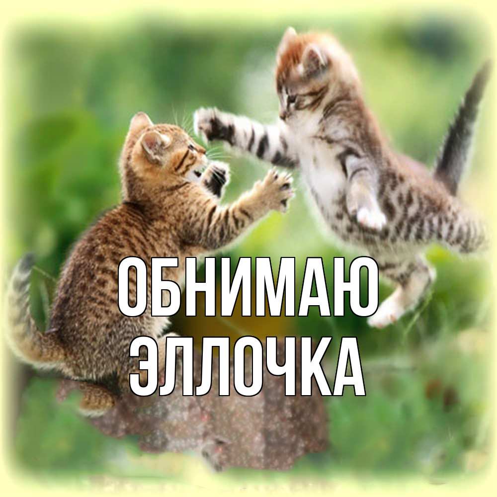 Открытка  с именем. Эллочка, Обнимаю  