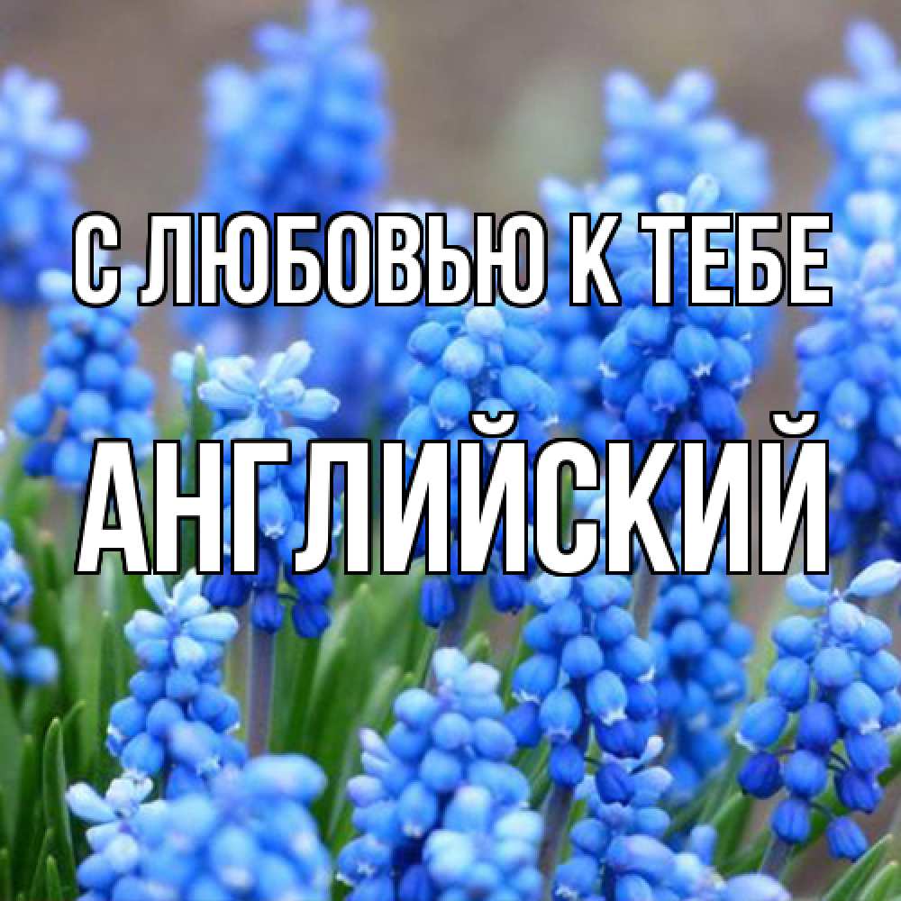 Открытка  с именем. Английский, С любовью к тебе  