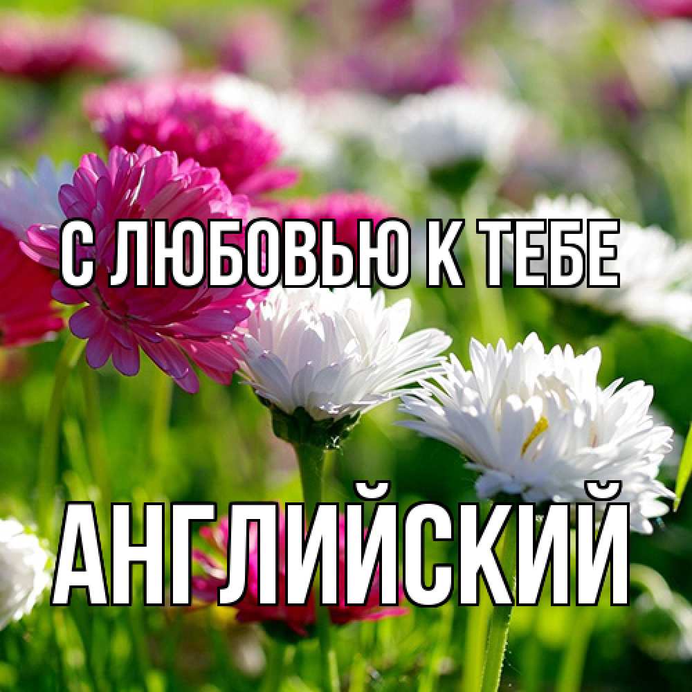 Открытка  с именем. Английский, С любовью к тебе  