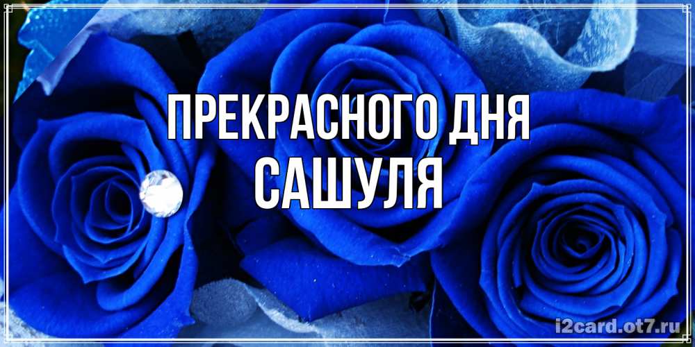 Открытка  с именем. Сашуля, Прекрасного дня  