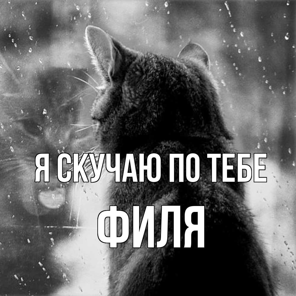 Открытка  с именем. Филя, Я скучаю по тебе  