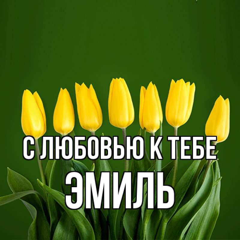 Картинка С любовью к тебе, Эмиль