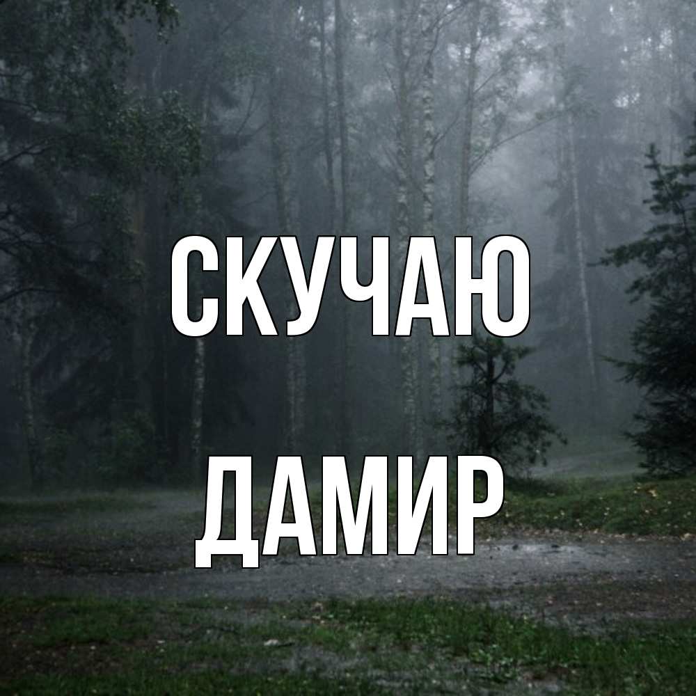Открытка  с именем. Дамир, Скучаю  