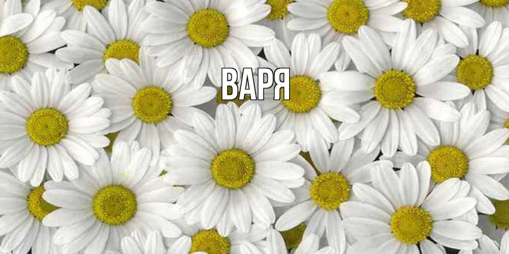 Открытка  с именем. варя, Главная  