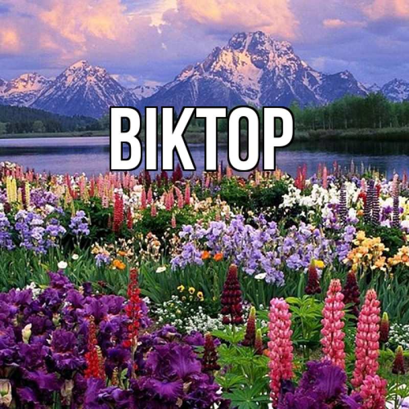 Картинка  с именем , Віктор