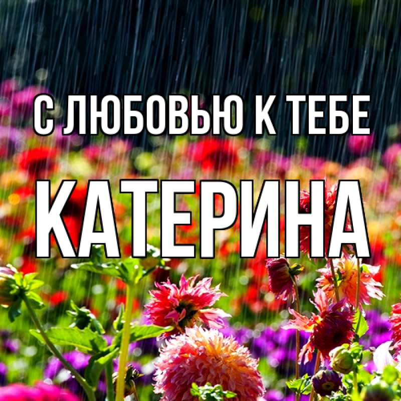Картинка С любовью к тебе, Катерина