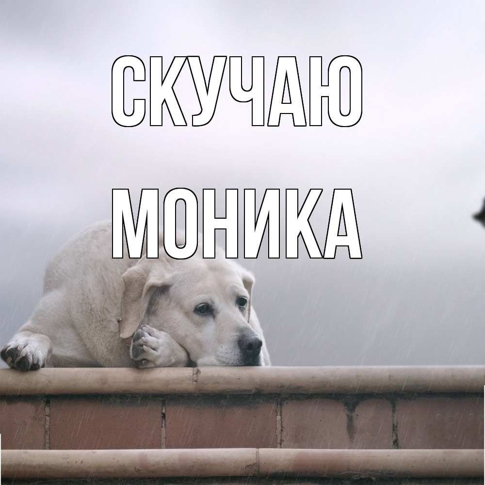 Открытка  с именем. Моника, Скучаю  