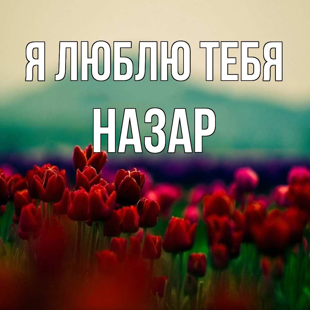 Открытка  с именем. Назар, Я люблю тебя  