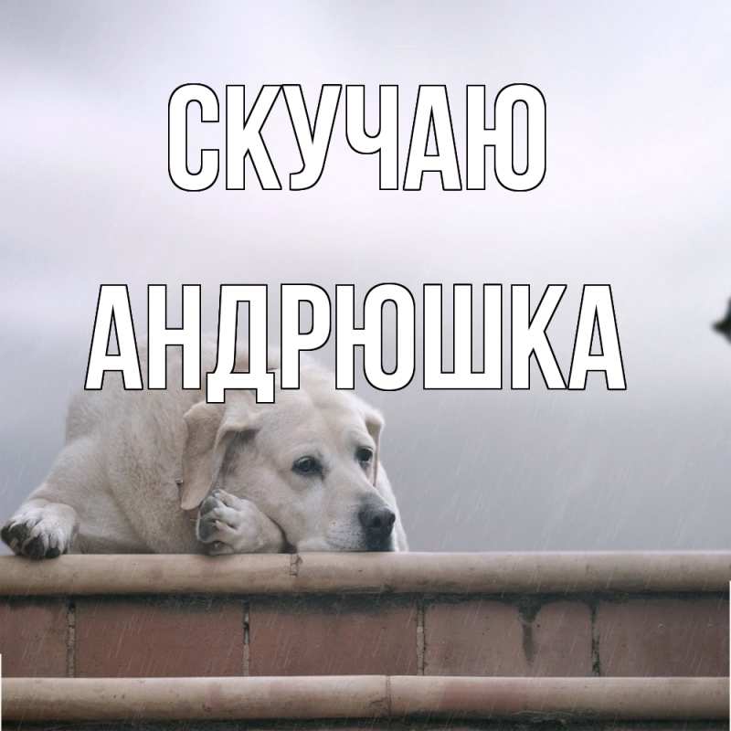 Картинка Скучаю, Андрюшка