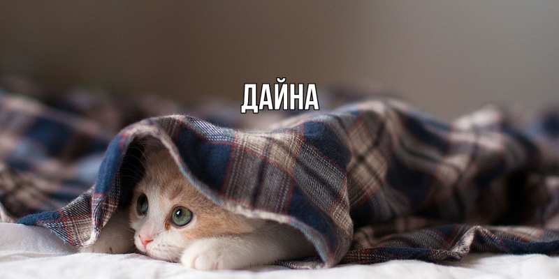 Картинка  с именем , Дайна