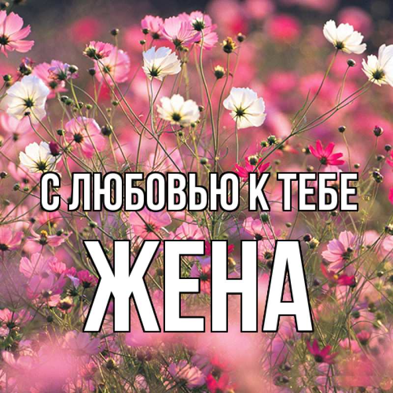 Картинка С любовью к тебе, Жена