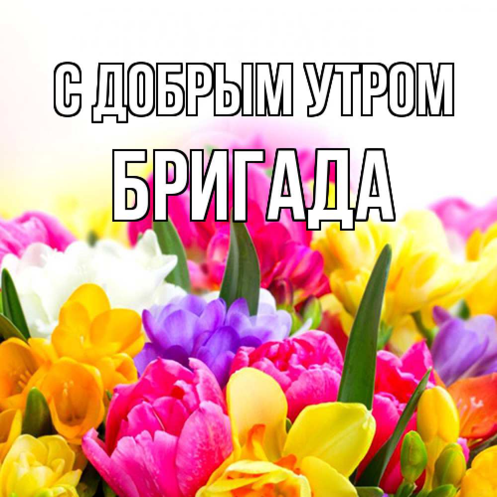 Открытка  с именем. Бригада, С добрым утром  