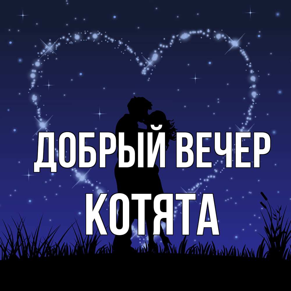 Открытка  с именем. Котята, Добрый вечер  