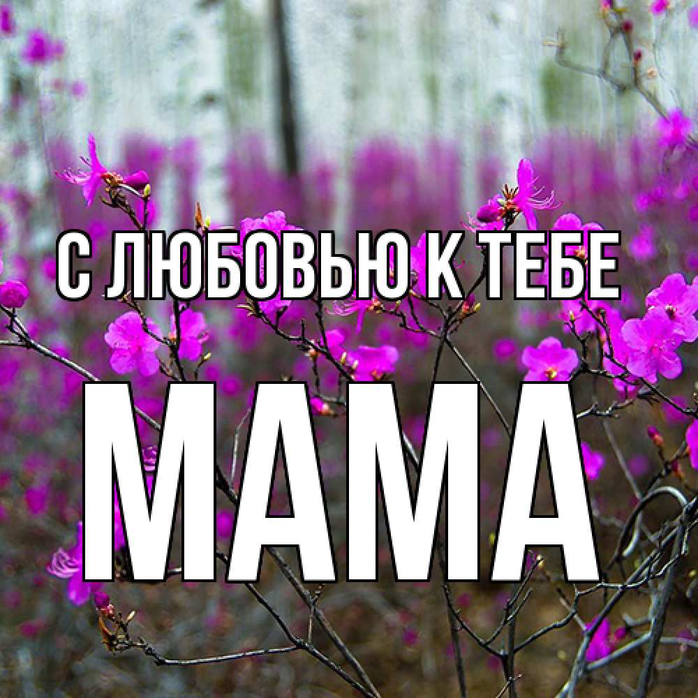 Открытка  с именем. Мама, С любовью к тебе  