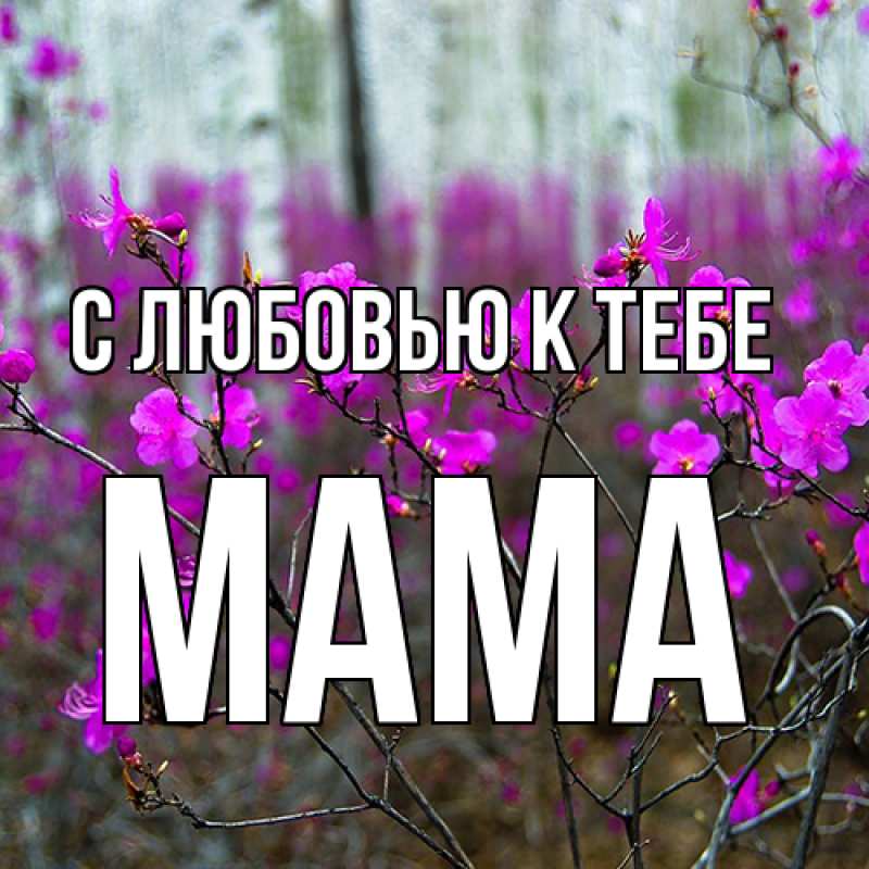 Картинка С любовью к тебе, Мама