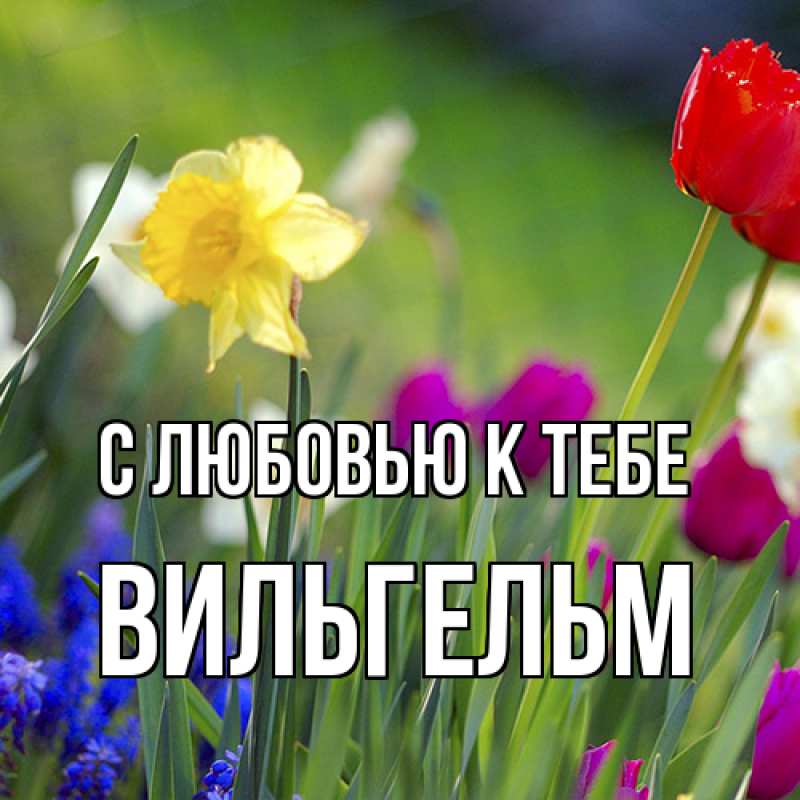 Картинка С любовью к тебе, Вильгельм