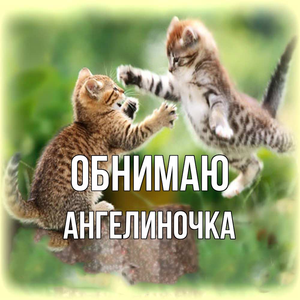 Открытка  с именем. АНГЕЛИНОЧКА, Обнимаю  