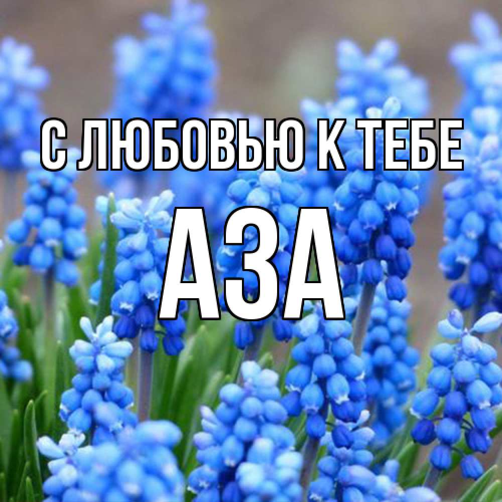 Открытка  с именем. Аза, С любовью к тебе  