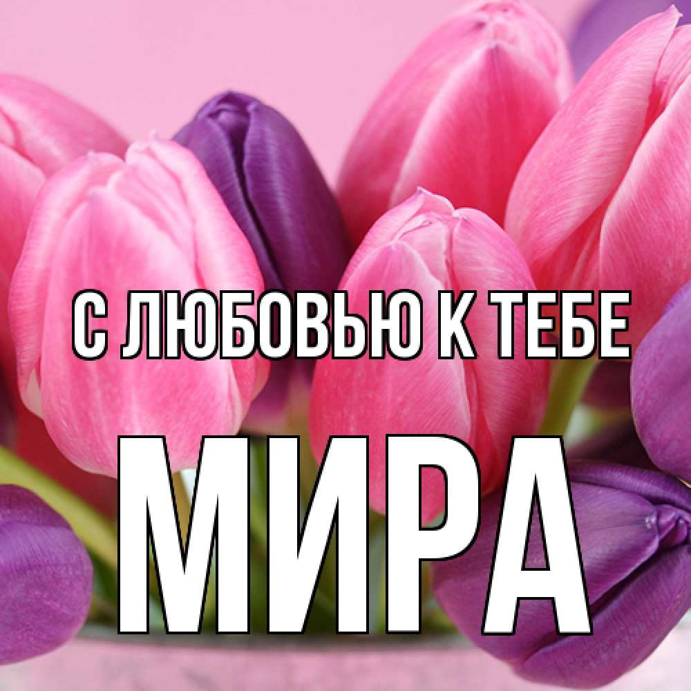 Открытка  с именем. Мира, С любовью к тебе  