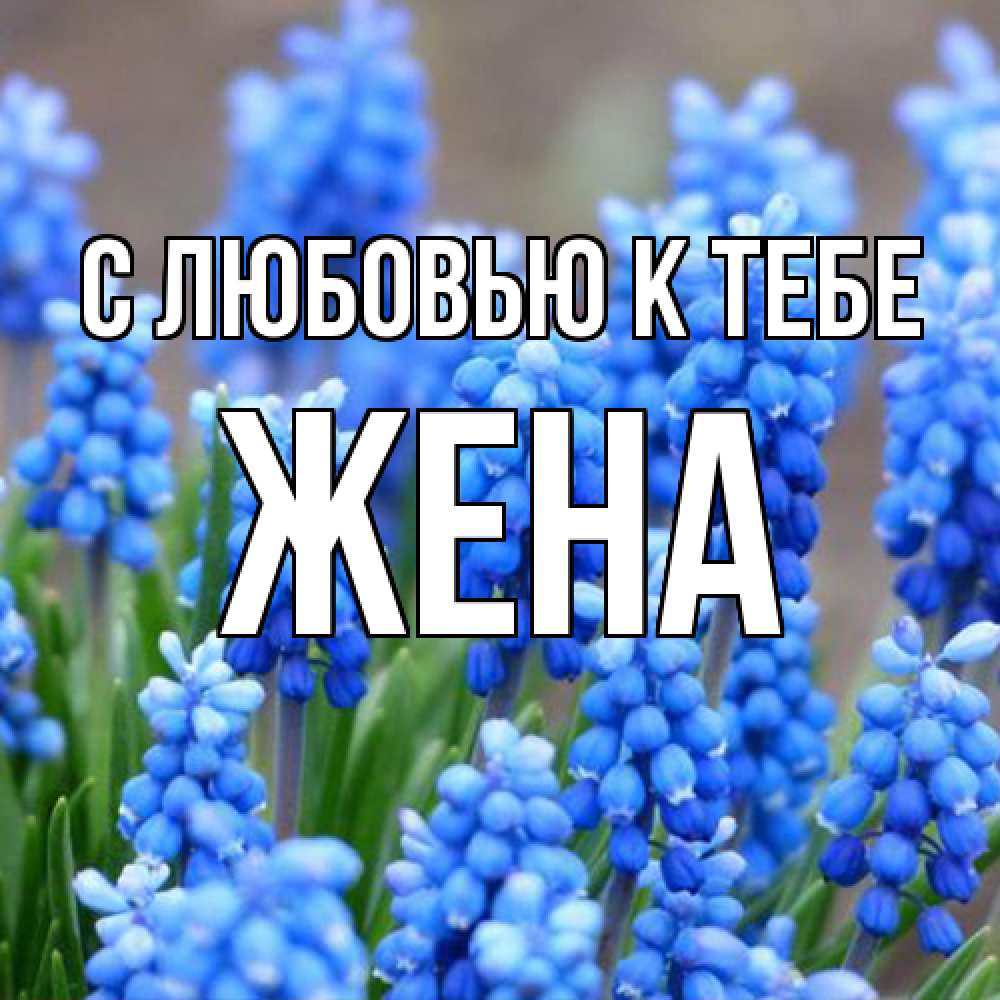 Открытка  с именем. Жена, С любовью к тебе  