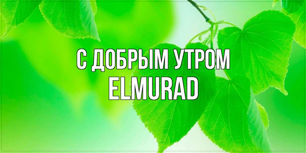 Открытка  с именем. Elmurad, С добрым утром  