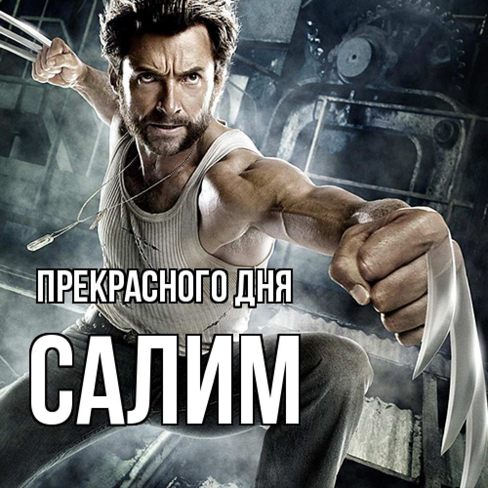 Открытка  с именем. Салим, Прекрасного дня  