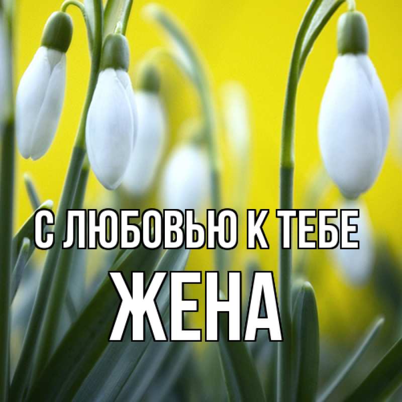 Картинка С любовью к тебе, Жена