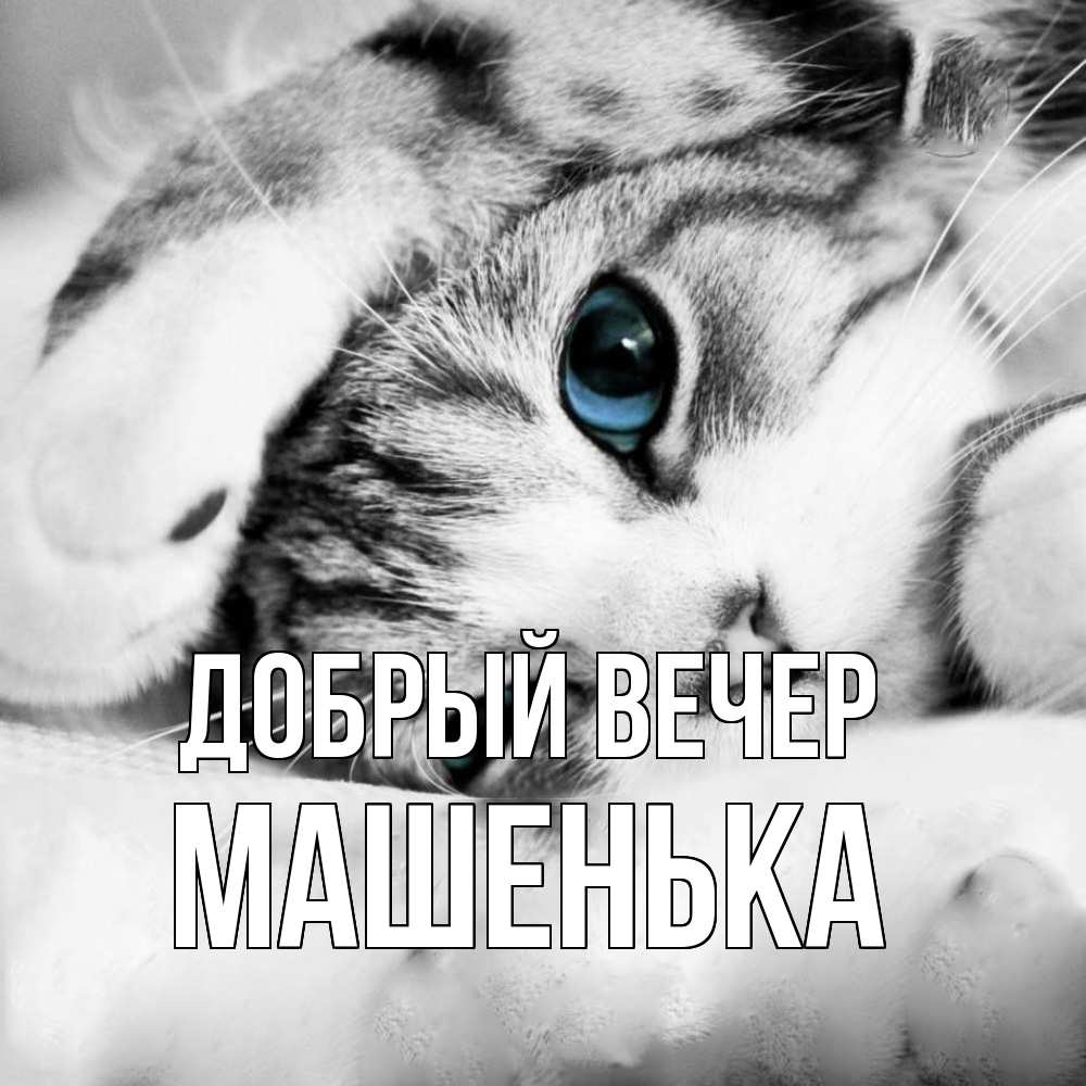 Открытка  с именем. Машенька, Добрый вечер  